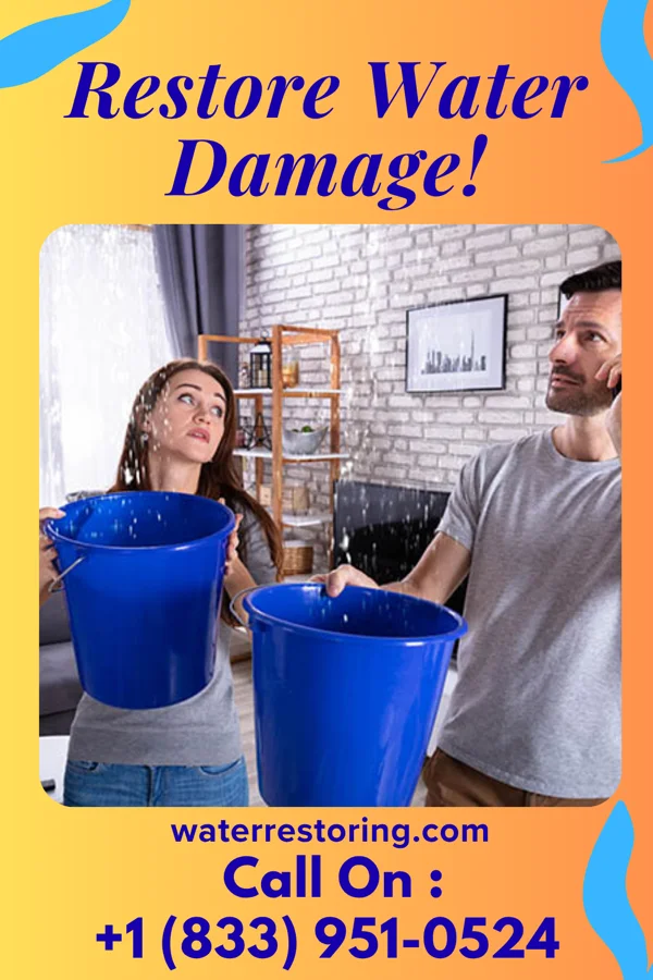 water restoration Expert Property Restoration Partners Portland