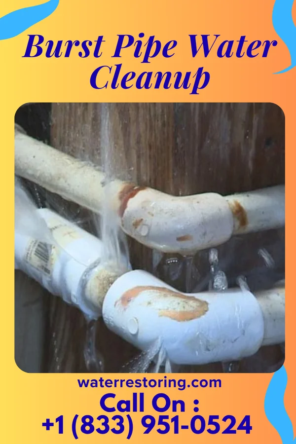 Burst Pipe Water Cleanup in Portland, PA