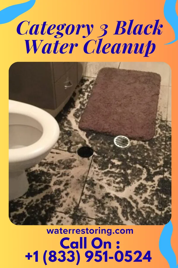 Category 3 Black Water Cleanup in Portland, PA
