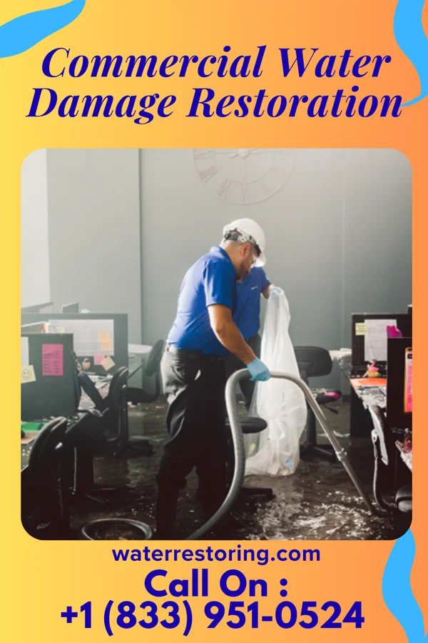 Commercial Water Damage Restoration in Portland, PA