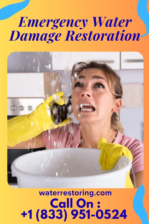 Emergency Water Damage Restoration in Portland, PA