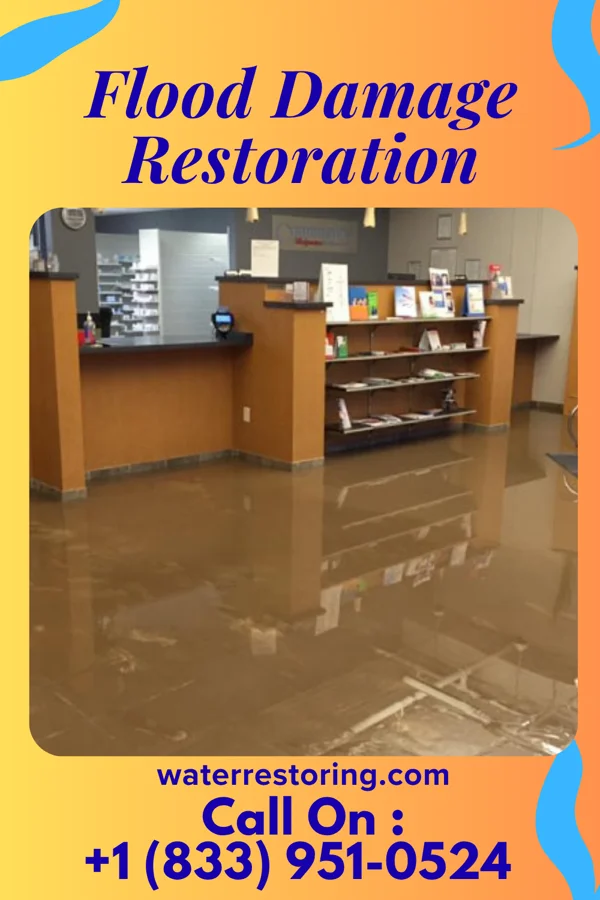 Flood Damage Restoration in Portland, PA