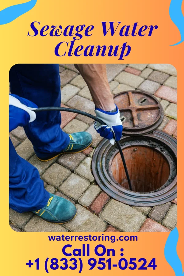 Sewage Water Cleanup in Portland, PA